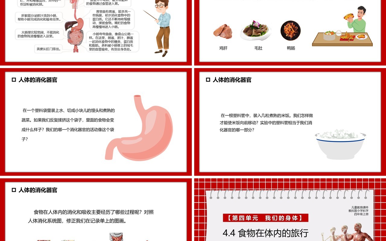 教科版四年级科学上册食物在体内的旅行课件PPT模板