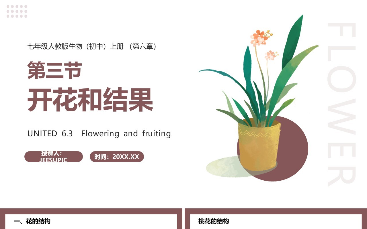 部编版七年级生物上册开花和结果课件PPT模板