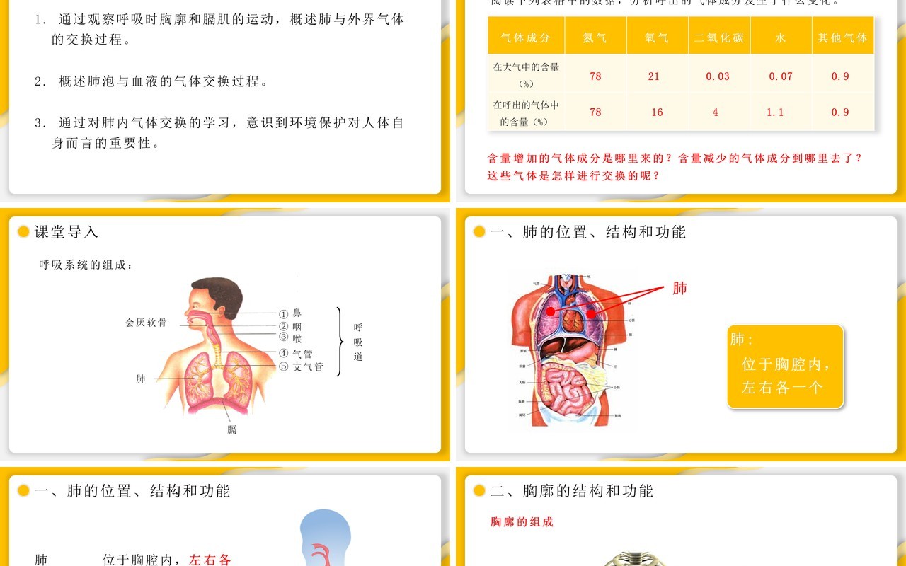 部编版七年级生物下册发生在肺内的气体交换课件PPT模板