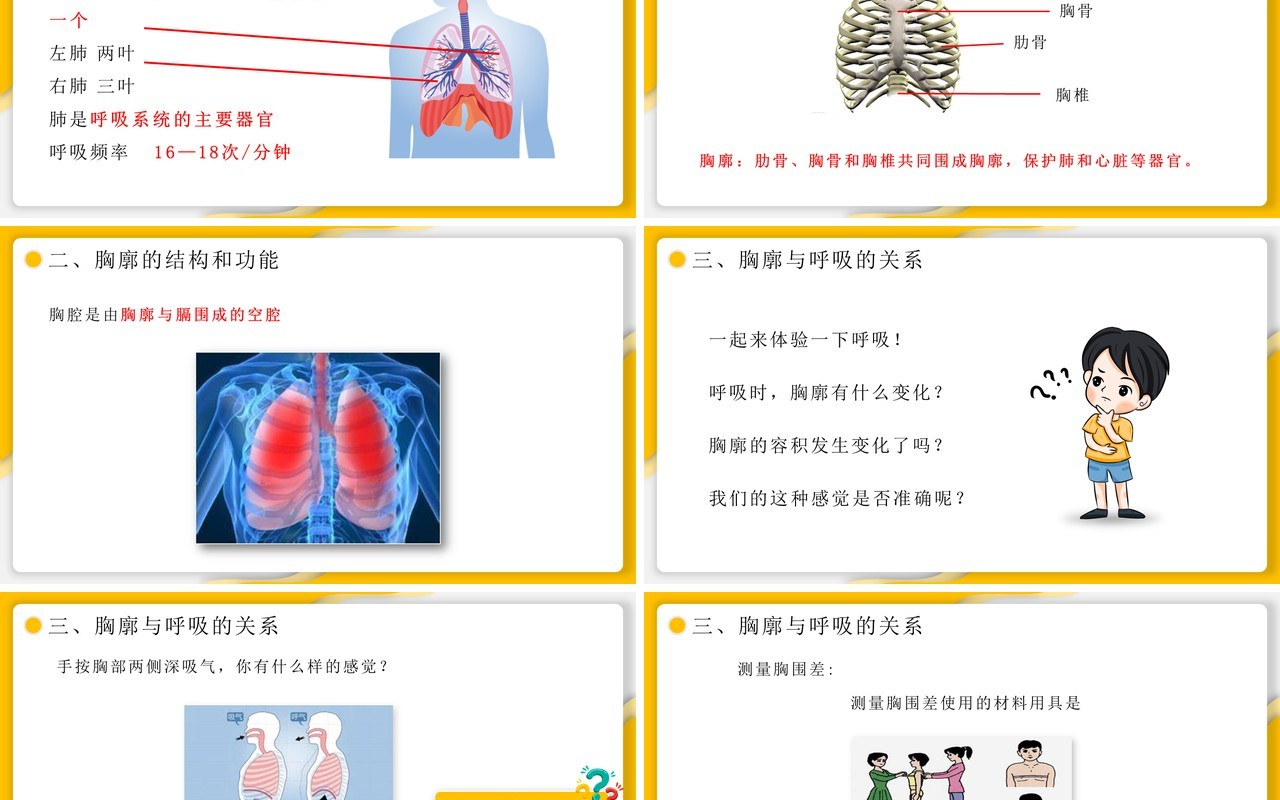 部编版七年级生物下册发生在肺内的气体交换课件PPT模板
