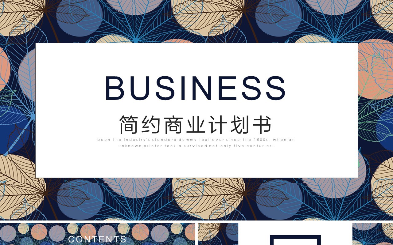 高端时尚简约商业计划书PPT模板
