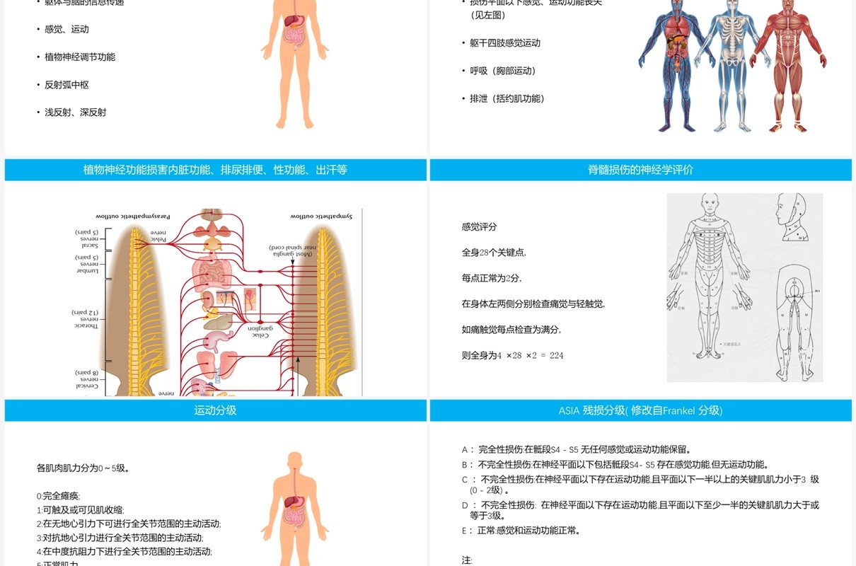 蓝色脊柱脊髓损伤的临床康复PPT模板
