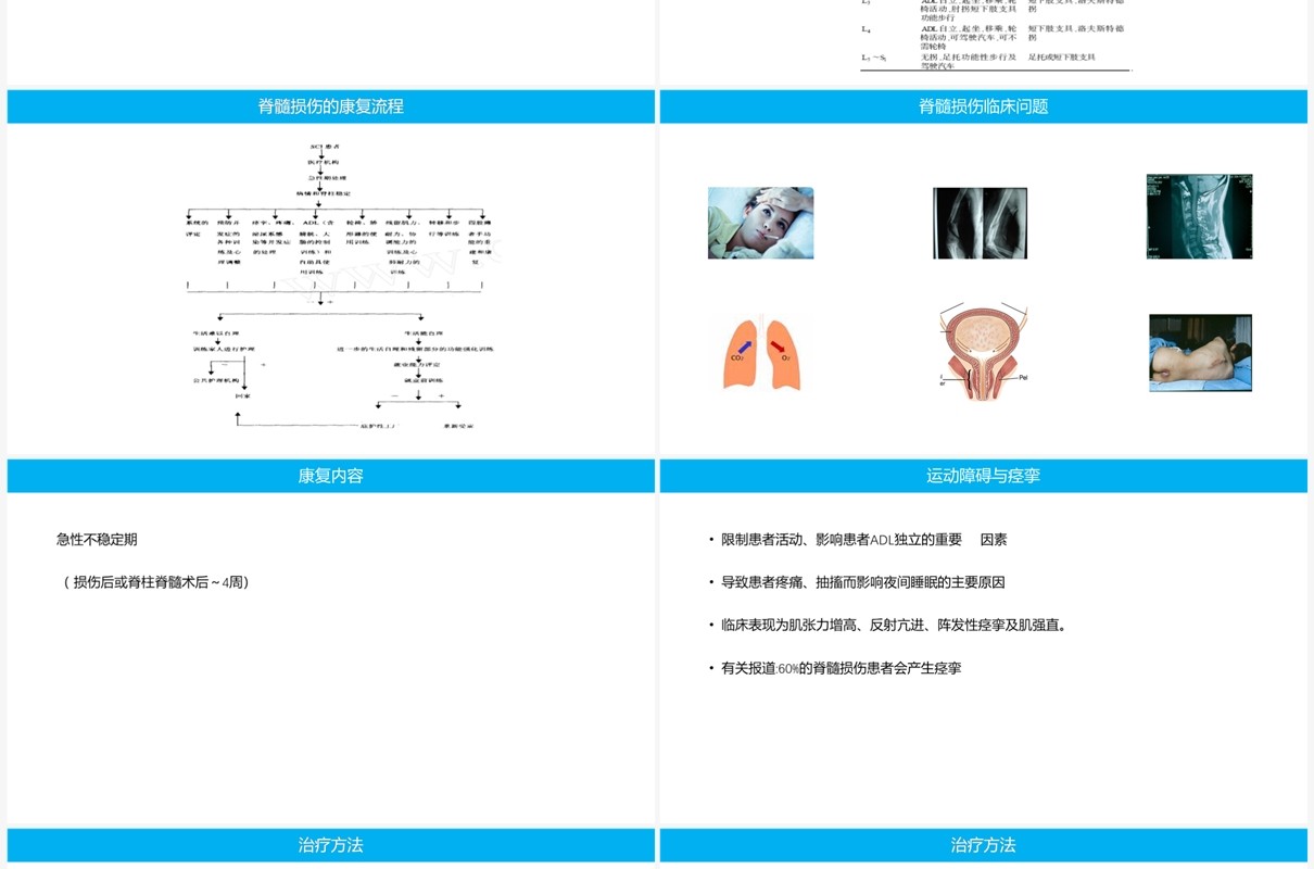 蓝色脊柱脊髓损伤的临床康复PPT模板