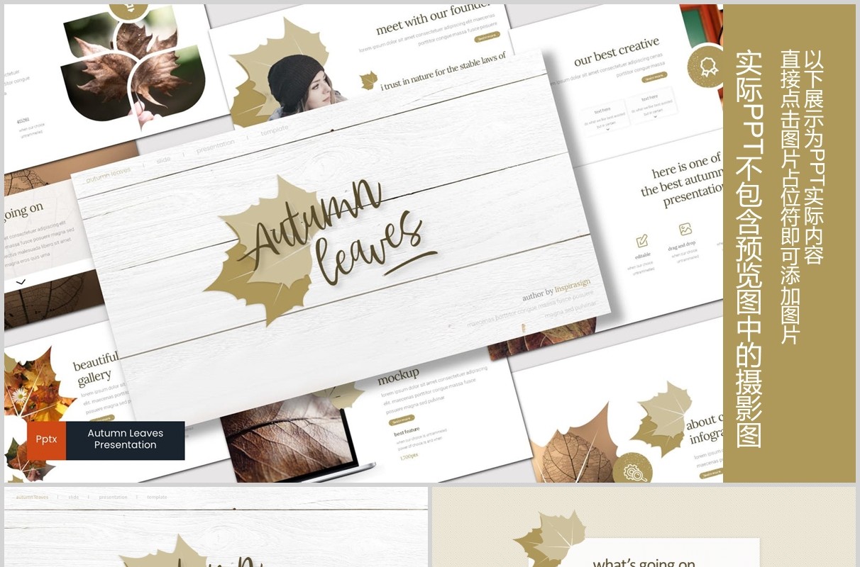 秋叶图形公司介绍PPT模板版式设计Autumn leaves Powerpoint Template