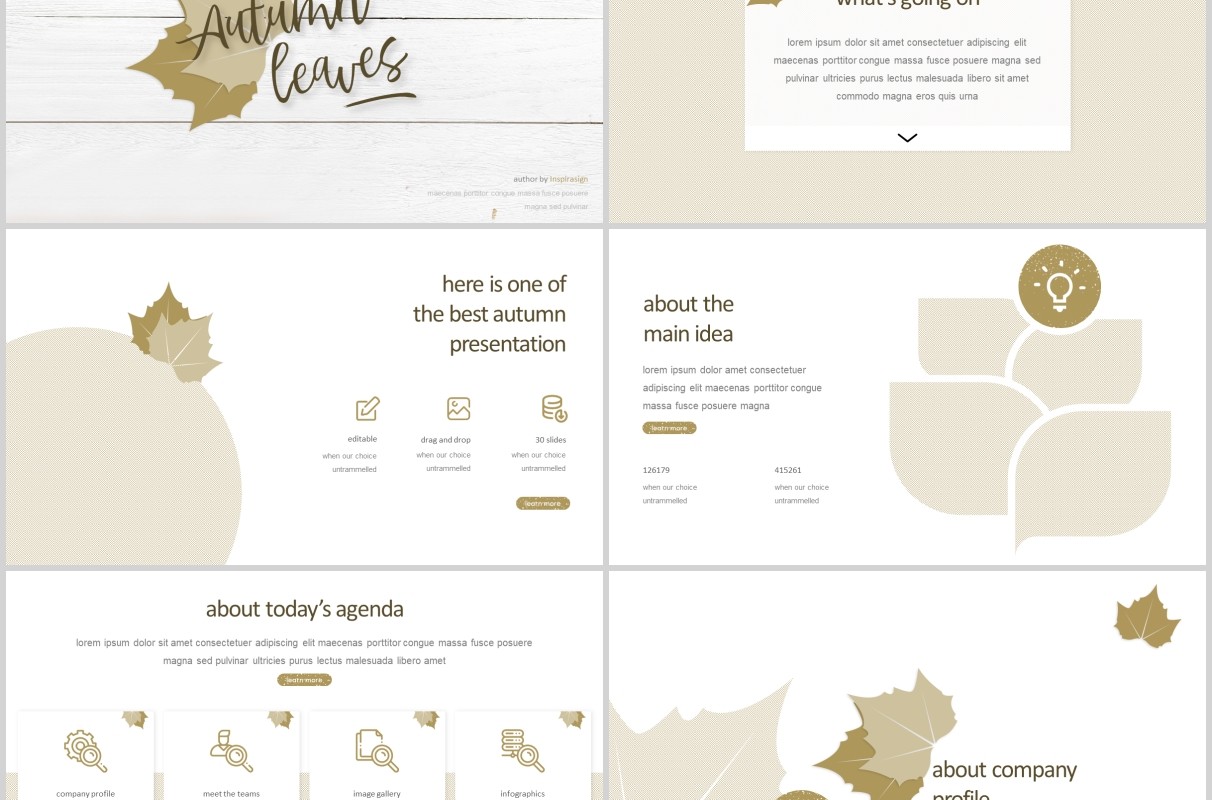 秋叶图形公司介绍PPT模板版式设计Autumn leaves Powerpoint Template