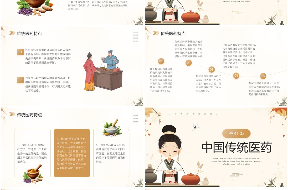 棕色简约中国风世界传统医药日PPT模板
