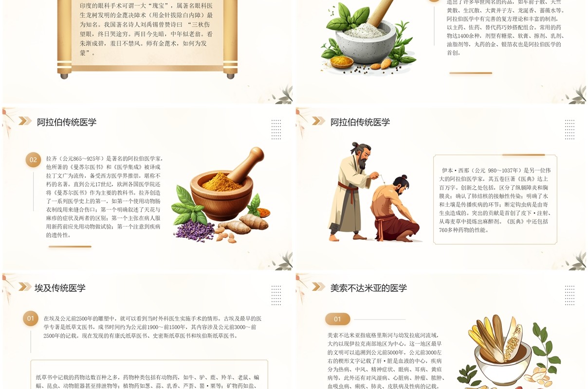 棕色简约中国风世界传统医药日PPT模板