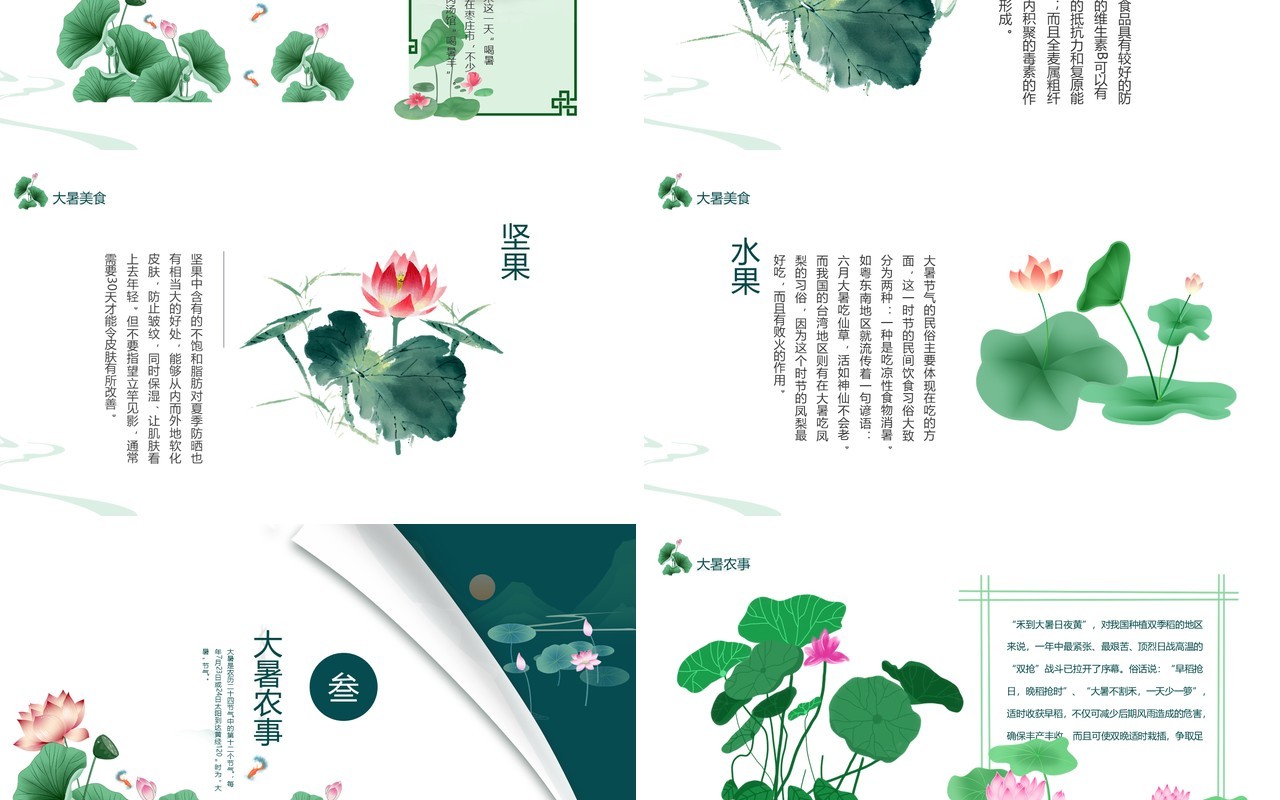 绿色小清新传统节日二十四节气大暑介绍PPT模板