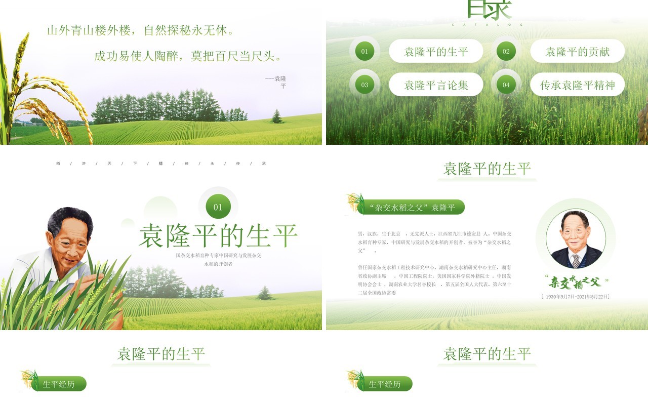 绿色简约风袁隆平院士生平介绍PPT模板