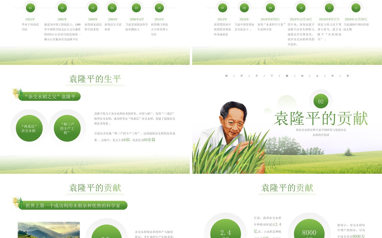 绿色简约风袁隆平院士生平介绍PPT模板