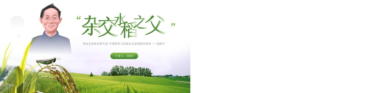 绿色简约风袁隆平院士生平介绍PPT模板
