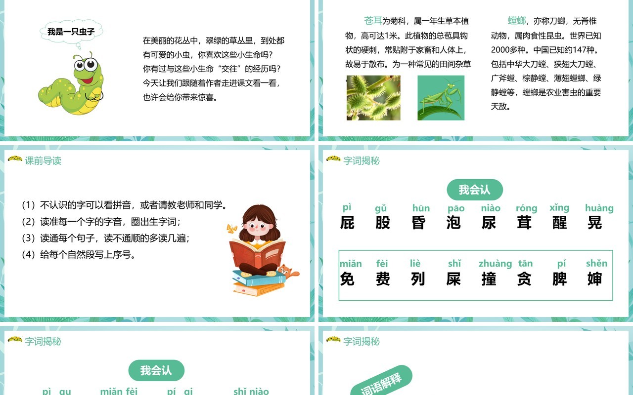 部编版二年级语文下册我是一只小虫子课件PPT模板