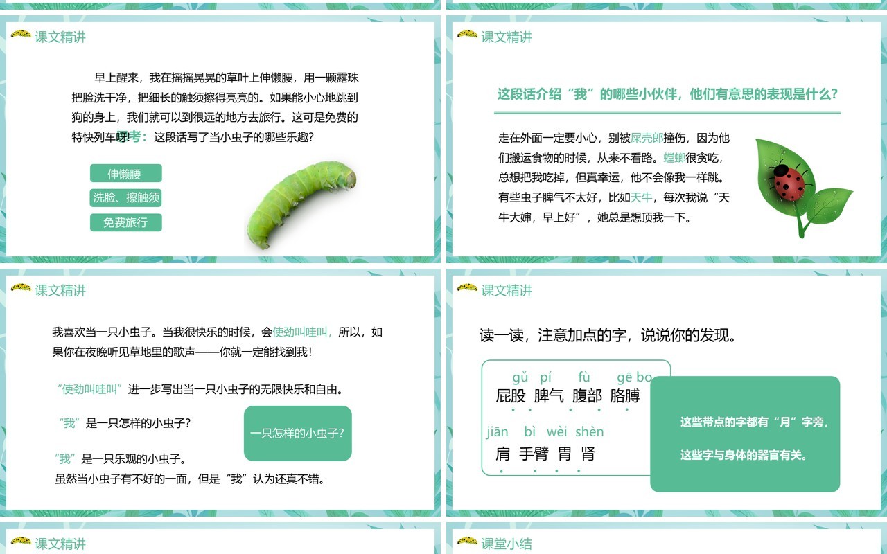部编版二年级语文下册我是一只小虫子课件PPT模板