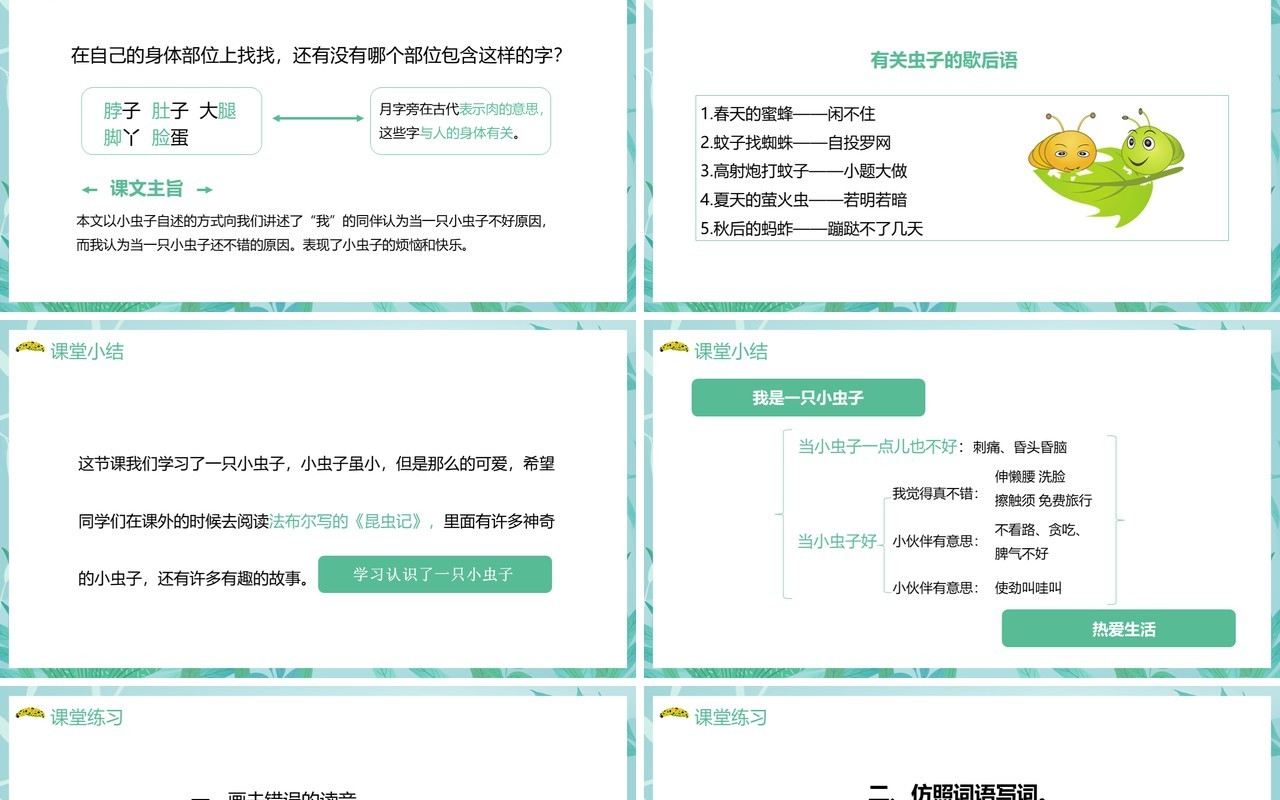 部编版二年级语文下册我是一只小虫子课件PPT模板