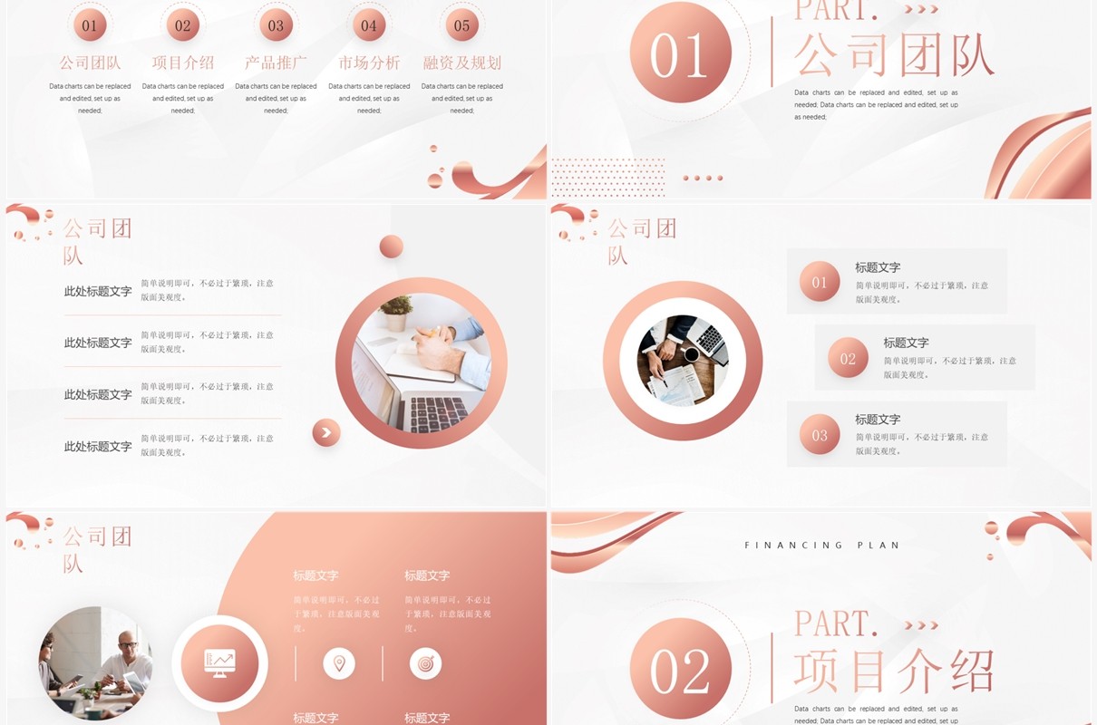 玫瑰金商务风商业项目计划书PPT模板