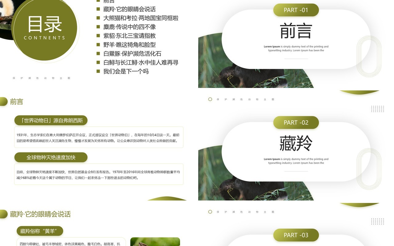 绿色简约风保护濒危动物主题教育PPT模板