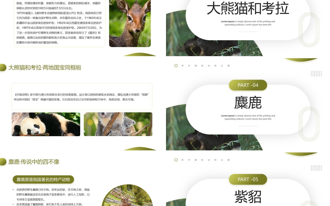 绿色简约风保护濒危动物主题教育PPT模板