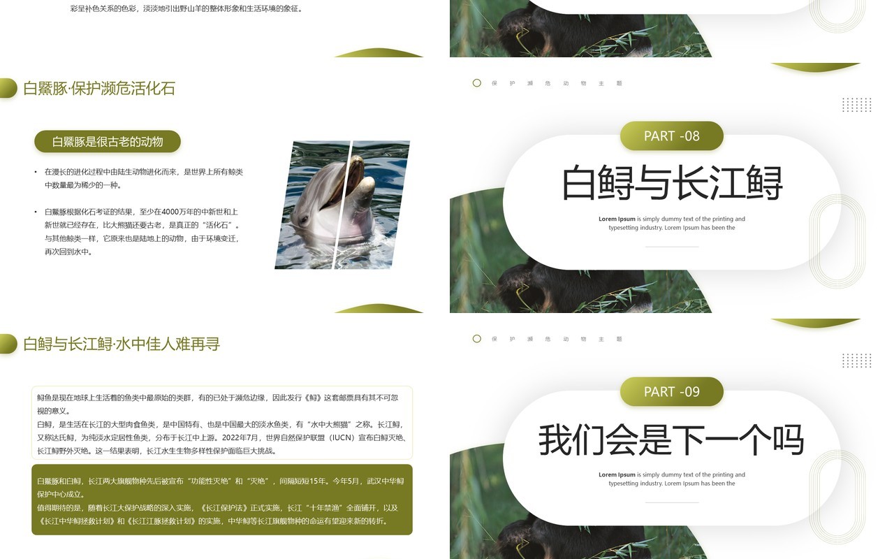 绿色简约风保护濒危动物主题教育PPT模板