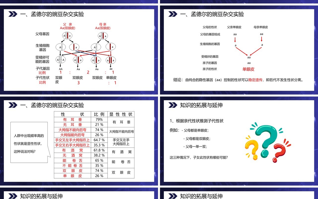部编版八年级生物下册基因的显性和隐性课件PPT模板