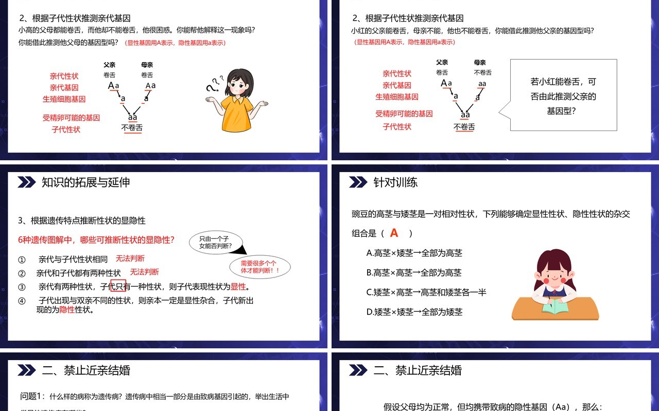 部编版八年级生物下册基因的显性和隐性课件PPT模板