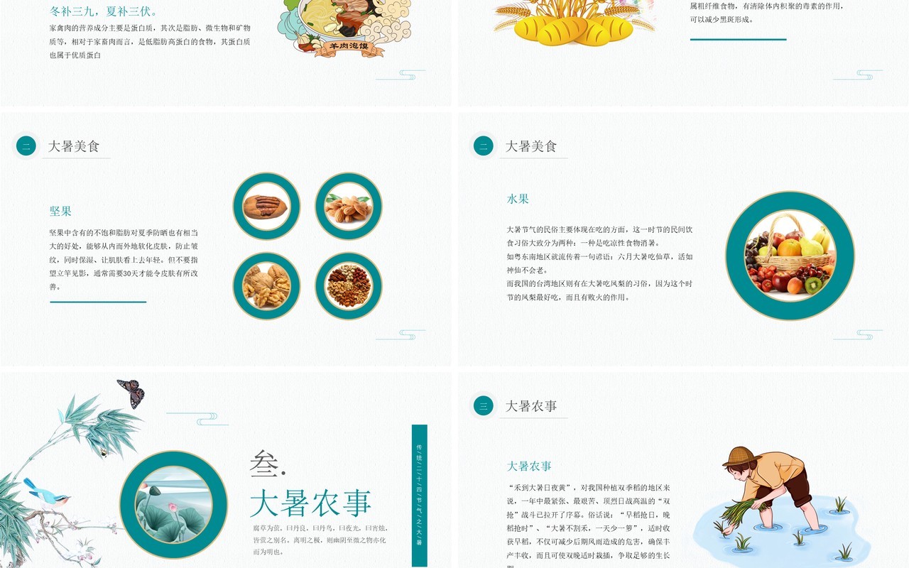 绿色中国风大暑节气知识介绍PPT模板