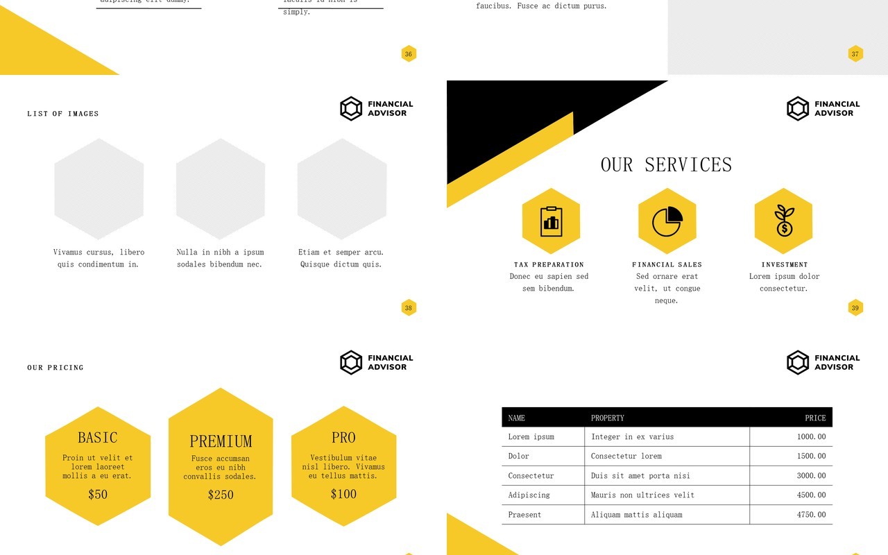 Financial-Advisor-PowerPoint-Presentation-Template