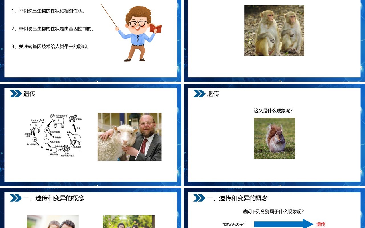 部编版八年级生物下册基因控制生物的性状课件PPT模板