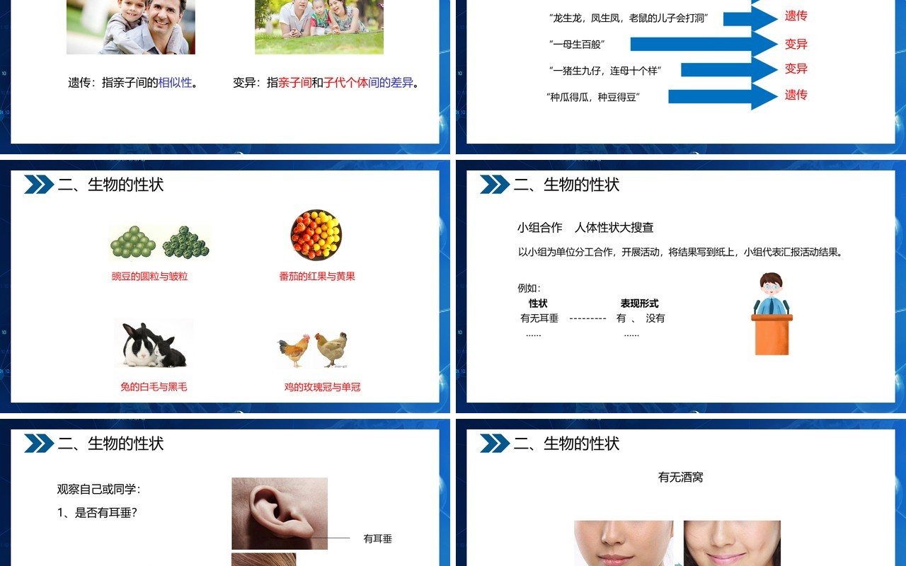 部编版八年级生物下册基因控制生物的性状课件PPT模板