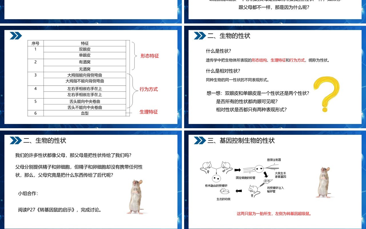 部编版八年级生物下册基因控制生物的性状课件PPT模板