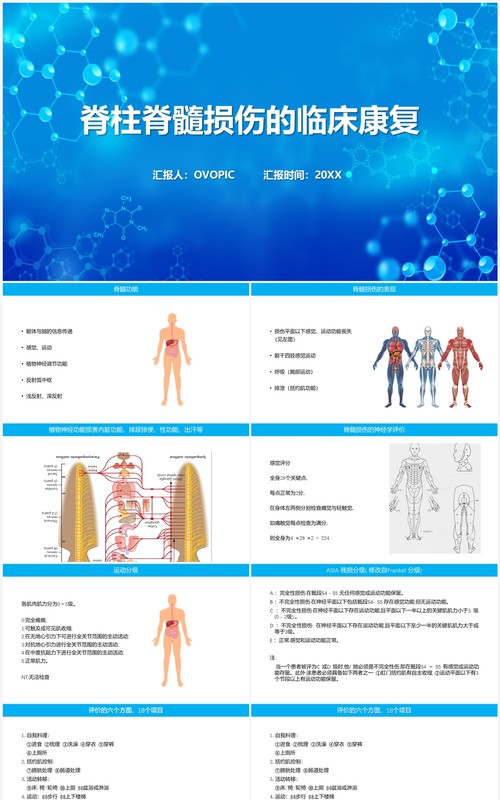蓝色脊柱脊髓损伤的临床康复PPT模板