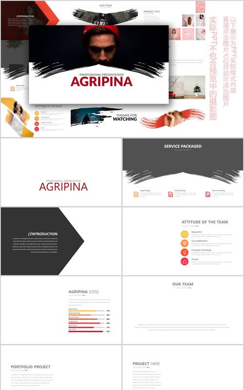 水墨图形高端公司简介PPT信息图表模板AGRIPINA Powerpoint
