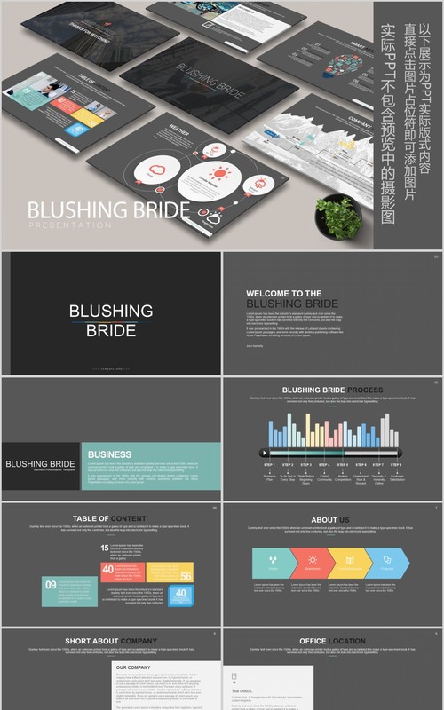产品介绍公司宣传PPT版式设计模板BLUSHING BRIDE Powerpoint