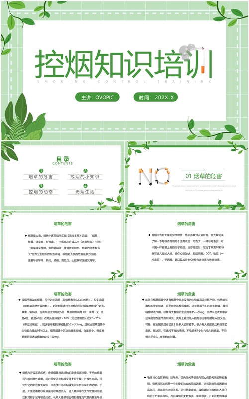 绿色简约控烟知识培训PPT模板