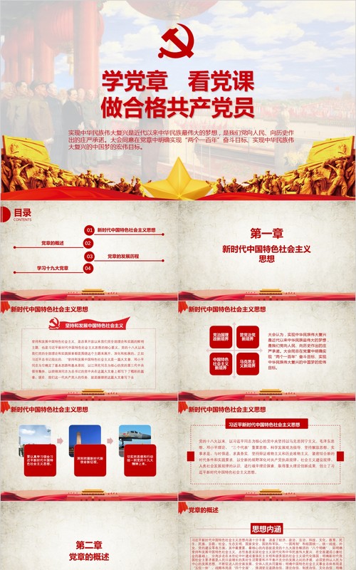 学习新微党章党课PPT模板10