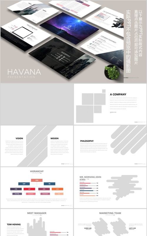 简洁个性公司简介产品介绍PPT模板可插图片信息图表HAVANA Powerpoint
