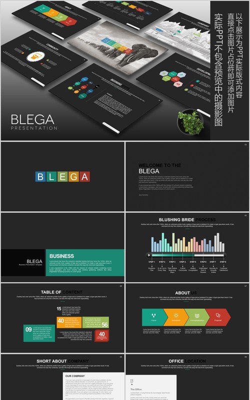 商务工作通用PPT信息图表可视化模板Blega Powerpoint