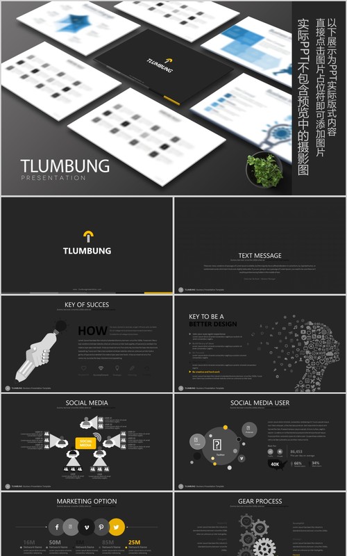 数据分析PPT信息图表版式模板设计Tlumbung Powerpoint