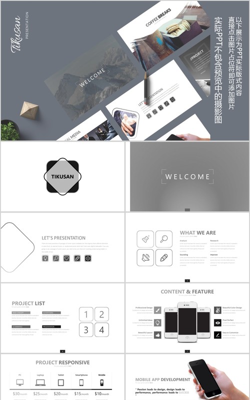简洁个性图形工作汇报PPT信息图表模板Tikusan Powerpoint