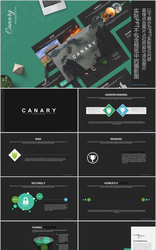 高端数据分析可视化PPT信息图表模板Canary - Powerpoint Template