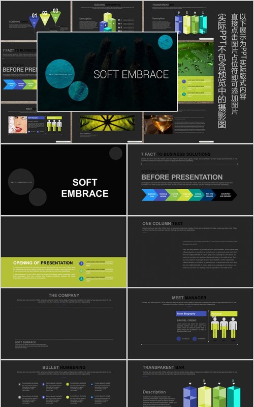 数据分析可视化工作计划PPT信息图表模板SOFT EMBRACE Powerpoint