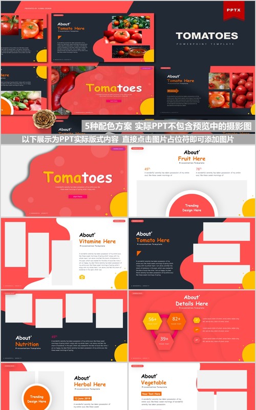 番茄产品展示美食餐饮PPT模板Tomatoes Powerpoint Template