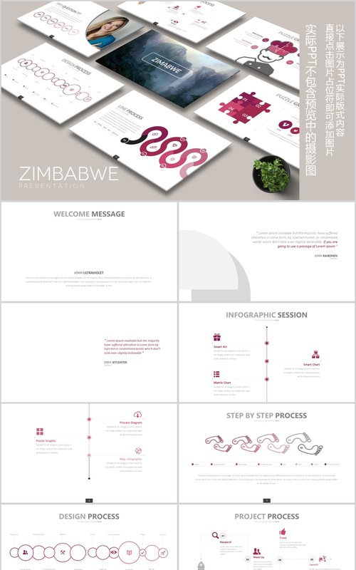 简洁玫瑰色商务个性公司简介PPT模板可插图片ZIMBABWE Powerpoint