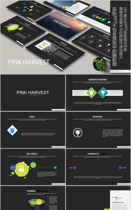 数据分析工作汇报PPT信息可视化模板PINK HARVEST Powerpoint