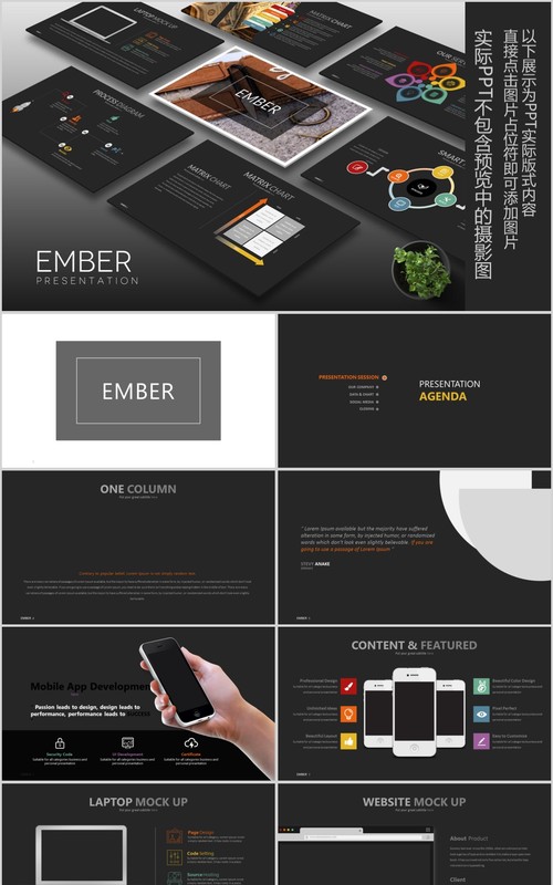 产品计划书工作汇报PPT信息可视化模板Ember Powerpoint