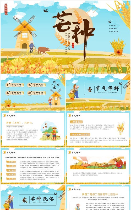 手绘卡通中国传统二十四节气芒种PPT模板