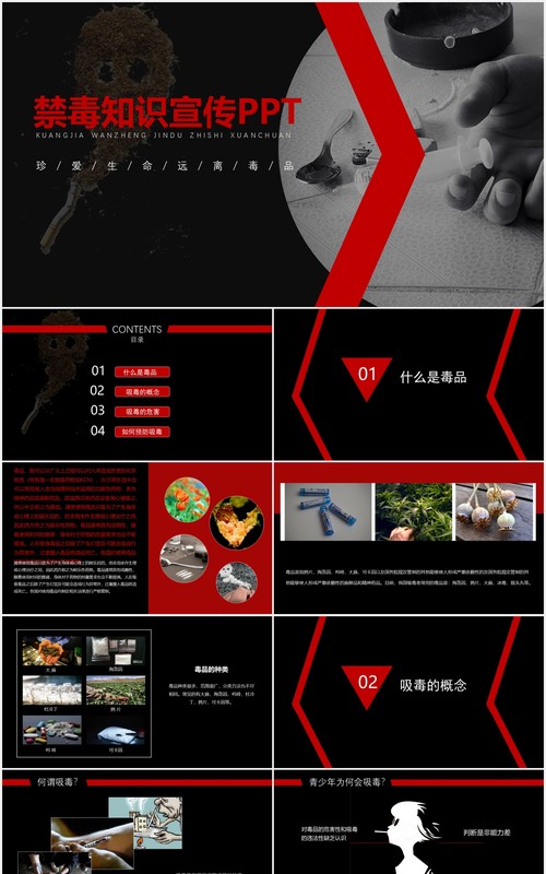 禁毒知识教育宣传课件PPT模板