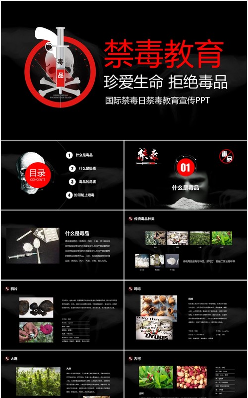 黑色禁毒教育宣传珍爱生命拒绝毒品PPT模板