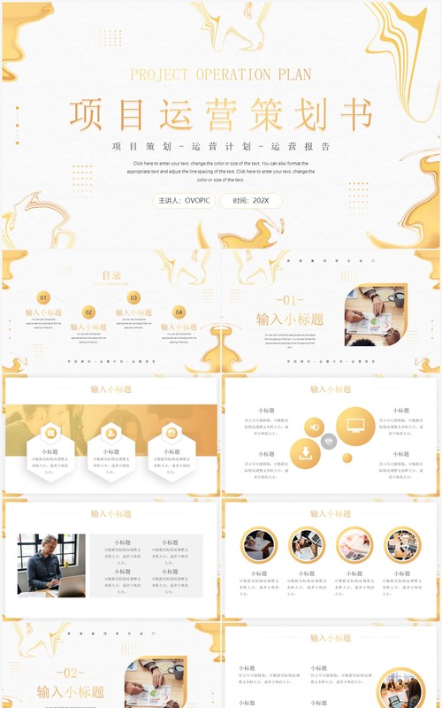 金色创意简约风项目运营策划书PPT通用模板