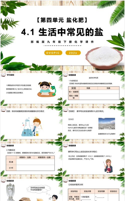 部编版九年级化学下册生活中常见的盐课件PPT模板