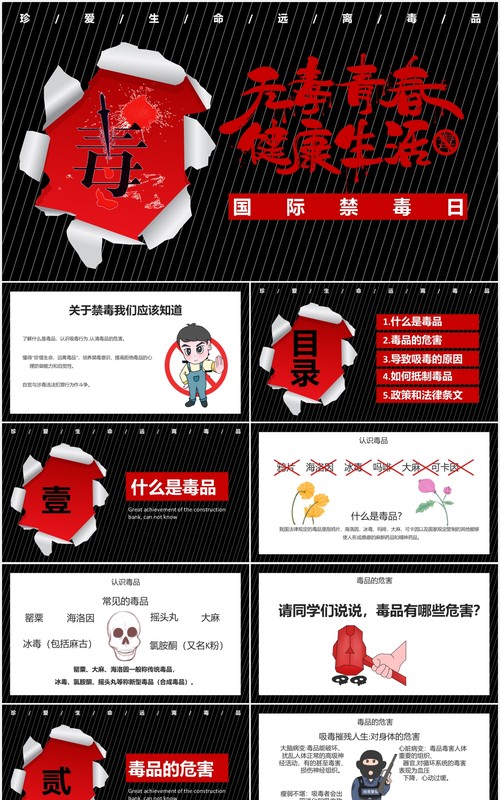 国际禁毒日宣传PPT模板